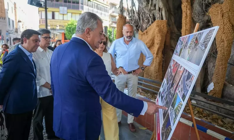 Sevilla se Transforma: Más Verde y Sostenible con Nuevas Plantaciones