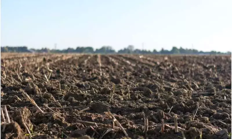 Descubrimiento de Fósforo Oculto en Suelos Agrícolas