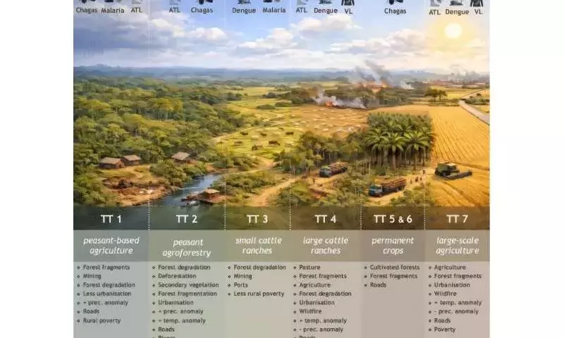 Uso del Suelo y Enfermedades Transmitidas por Insectos en la Amazonía Brasileña