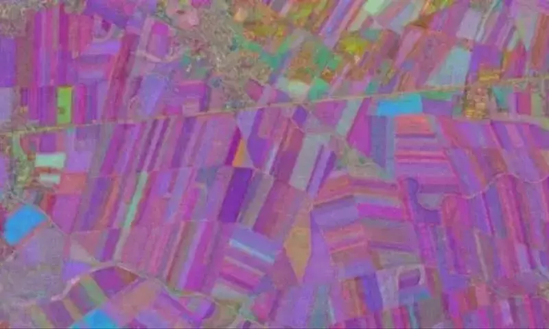 Revolución Agrícola: La IA Satelital Brinda Visibilidad a Pequeñas Parcelas