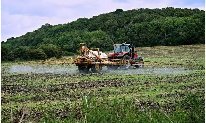 Australia Mantiene Uso de Paraquat Bajo Estrictas Regulaciones a Pesar de Prohibiciones Globales