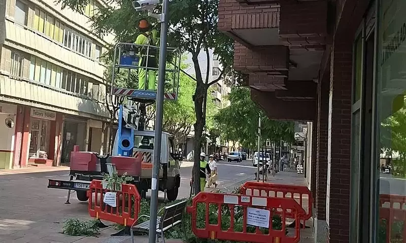 Controversia en León por la Poda de Árboles en Plena Ola de Calor