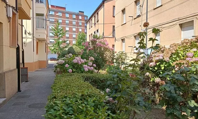 Embellecimiento Urbano: Renovación de Zonas Verdes en Ponferrada