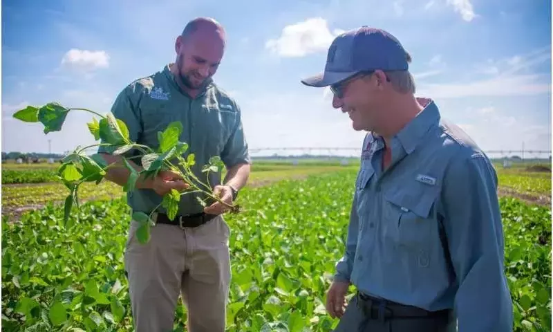 Innovaciones Agrícolas para un Riego Eficiente y Mayor Productividad