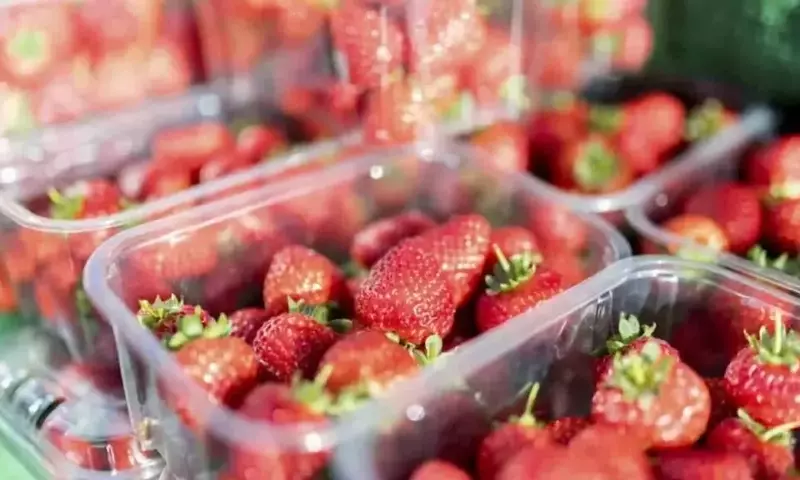 Estudio Revela Bajos Residuos de Pesticidas en Fresas Españolas Comparado con Europa