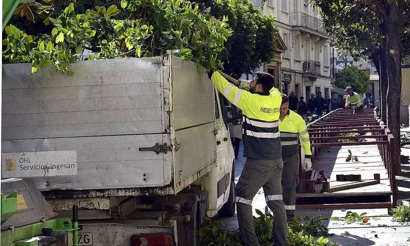 Poda Urbana en España: Debates, Avances y Herramientas Innovadoras