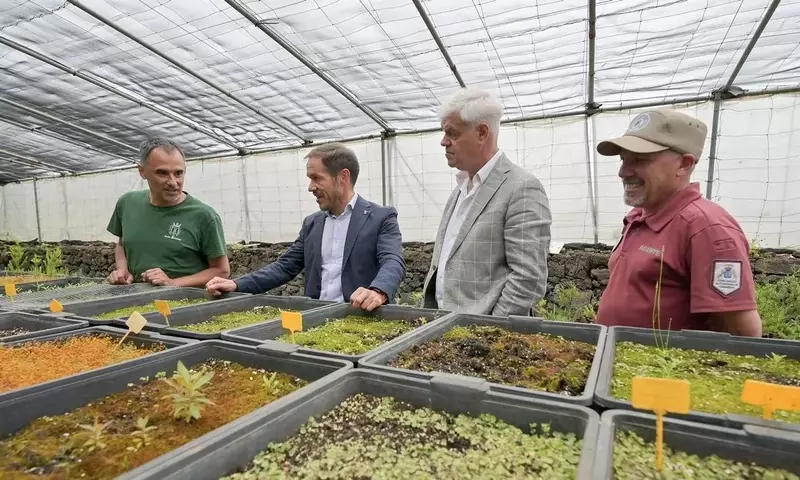 Bancos de Semillas en España: Salvaguardando la Herencia Agrícola ante Nuevos Desafíos
