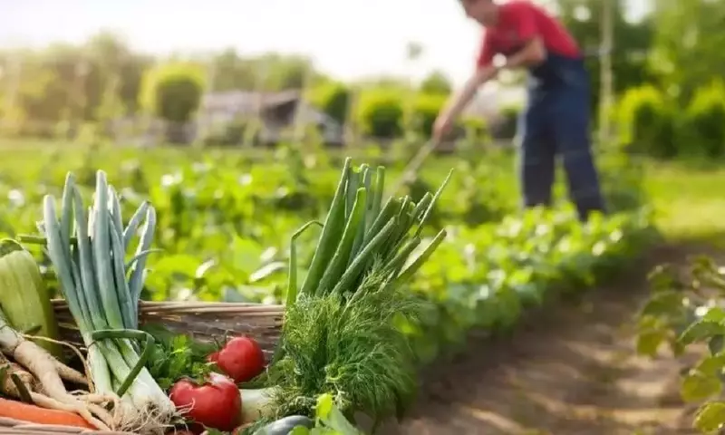 Cultivo en Asociación: Optimizando tu Jardín Orgánico