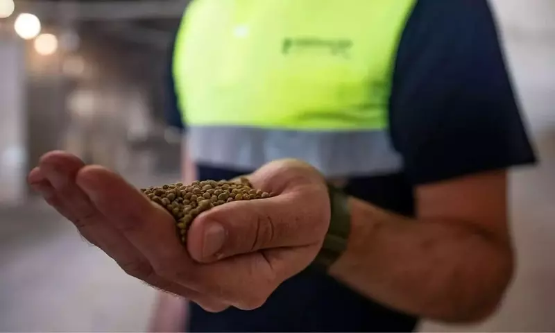 España Despliega Ayudas Millonarias para Agricultores ante la Crisis de Fertilizantes