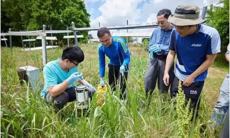 Impacto de la Sequía Prolongada en el Microbioma del Suelo