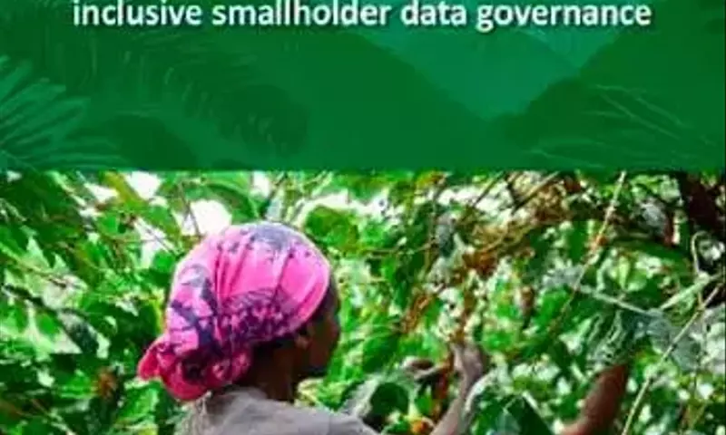 Gobernanza de Datos Forestales: Un Enfoque Inclusivo para Pequeños Productores