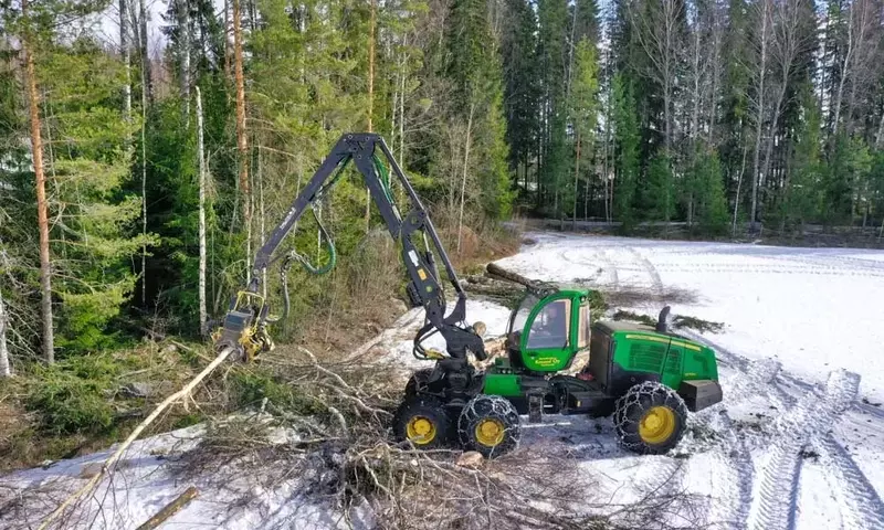 Gestión Forestal Sostenible en Canadá: Un Compromiso con el Futuro Ambiental