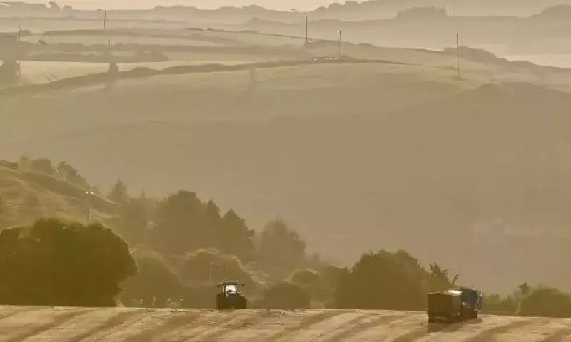 Políticas agroambientales: un pilar para la vitalidad del suelo agrícola