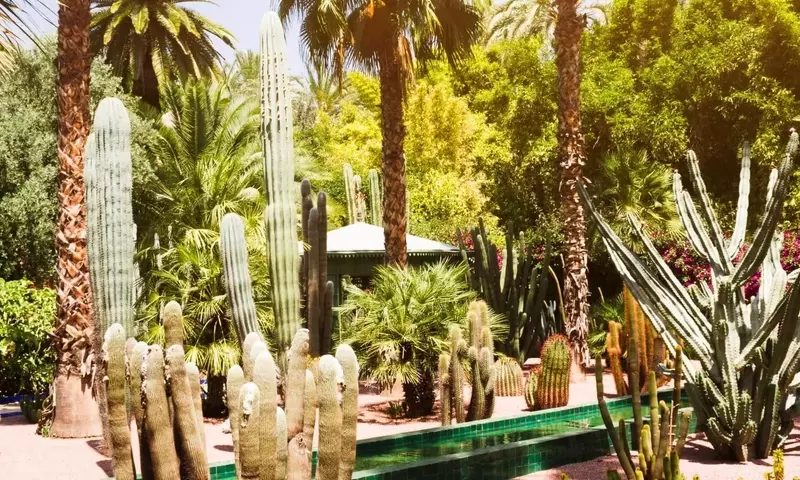 Guía Definitiva para la Creación de Jardines Sostenibles: Minimizando el Uso de Agua