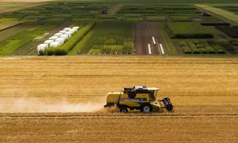 Recuperación del Suelo: Un Impulso Crucial para la Seguridad Alimentaria Global