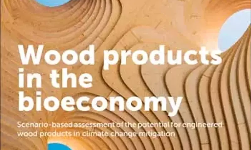 El Futuro de la Construcción Sostenible: Productos de Madera de Ingeniería en la Bioeconomía