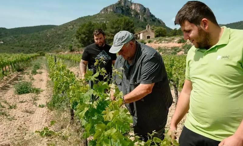 Crisis de Fertilizantes en Europa y España: Desafíos y Respuestas del Sector Agrícola