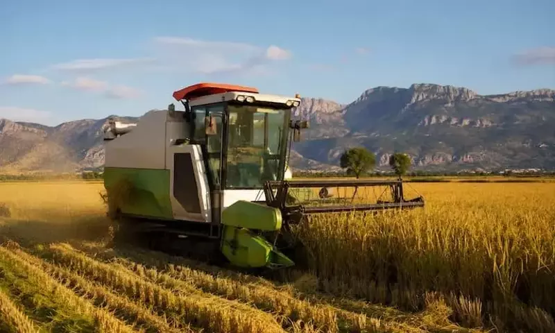 El arroz de Pego (Alicante) afronta una campaña crítica por la escasez de fitosanitarios