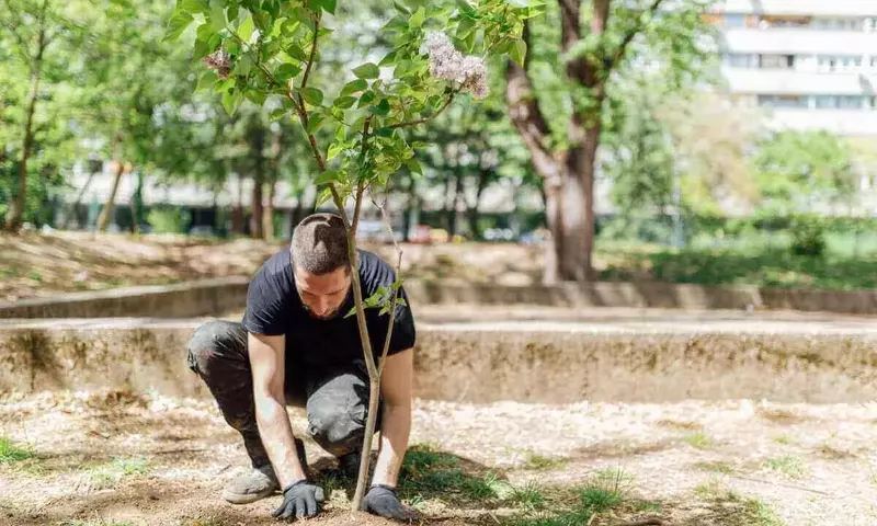 Guía Definitiva para la Selección de Árboles en tu Jardín