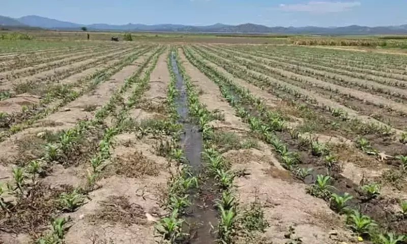 El Salvador busca asegurar su producción agrícola con un ambicioso plan de riego