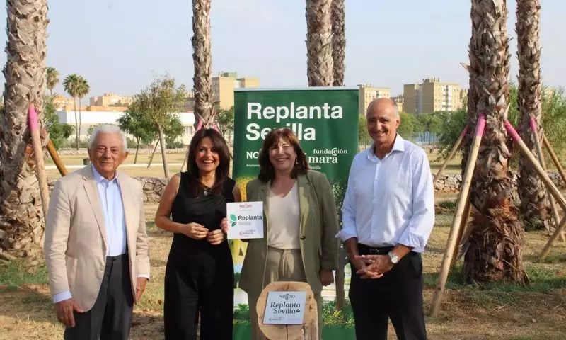 Iniciativas de Reforestación Urbana: Transformando Ciudades y Mejorando la Calidad Ambiental
