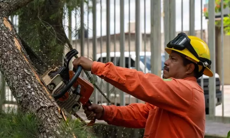 La Poda Preventiva: Estrategia Clave para la Seguridad Urbana y Eléctrica en América Latina