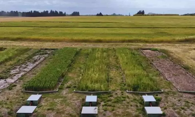 Prácticas Agrícolas Integradas Reducen Drásticamente la Erosión del Suelo en la Región Pampeana