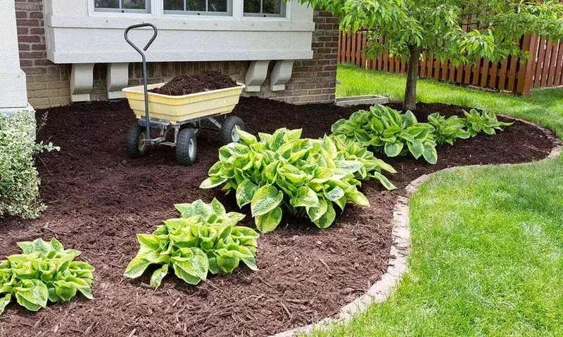 Guía Completa para la Elección del Mulch Ideal: Grava vs. Corteza de Pino