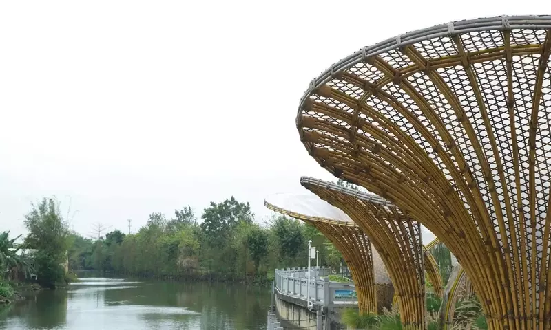 Innovación Ecológica: El Bambú Redefine la Arquitectura Sostenible