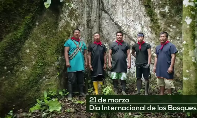 El Rol Esencial de los Bosques en la Regulación del Clima Global y la Generación de Agua