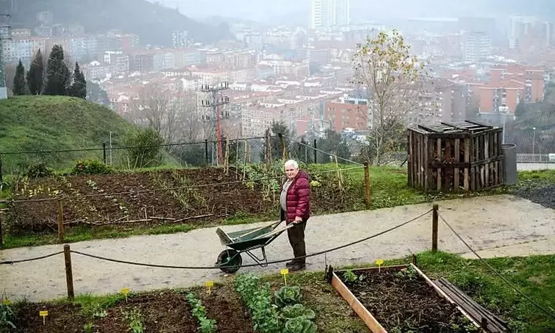 El Auge de los Huertos Urbanos en España: Un Compromiso con la Sostenibilidad y la Comunidad