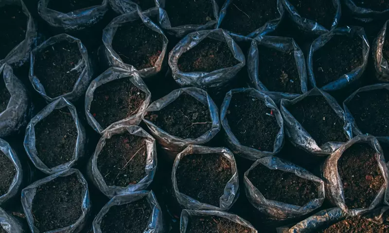 Regulación de Sustratos de Cultivo en España: Guía Completa