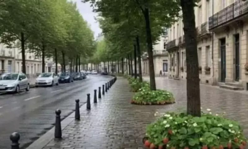Fresas silvestres transforman entornos urbanos en Francia con un innovador enfoque de cosecha libre