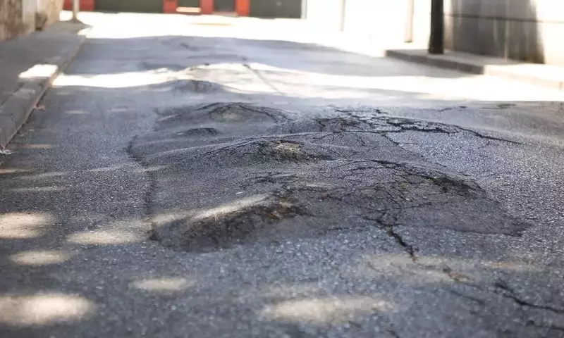 Algeciras Aborda Daños en Calles por Raíces de Árboles