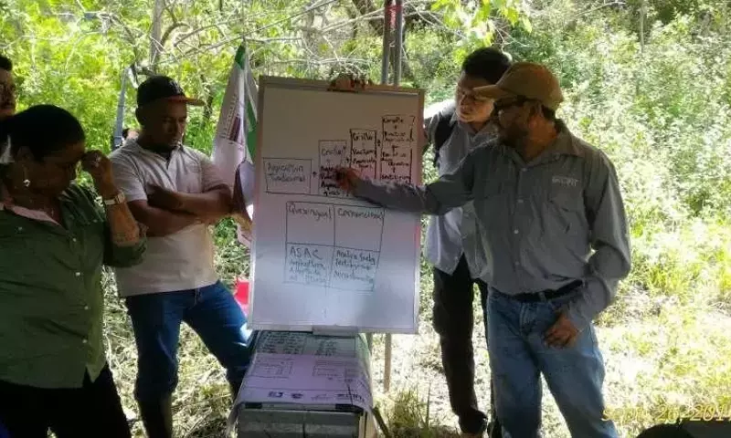 La confianza entre agricultores, clave para la innovación agrícola frente al cambio climático