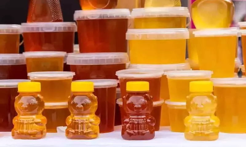 Crisis Apícola en Bolivia: 50 Toneladas de Miel Acumuladas y Riesgo de Duplicación