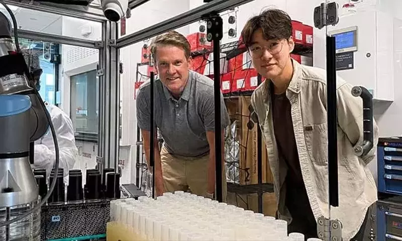 Avance Biotecnológico: Bacterias Modificadas Transforman Azúcares de Tallos de Maíz en Productos Útiles