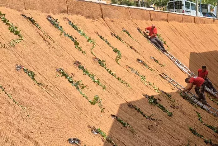 Mallas de fibra de coco: solución sostenible para jardinería en taludes