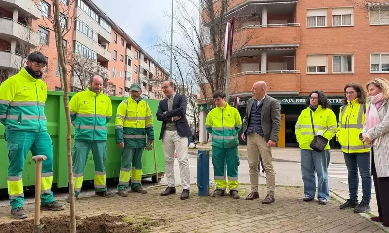 Revitalización Verde: Impulso a la Reforestación Urbana en España