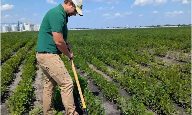 Estados Unidos Revoluciona la Agricultura con Datos Climáticos Avanzados para la Predicción de Enfermedades
