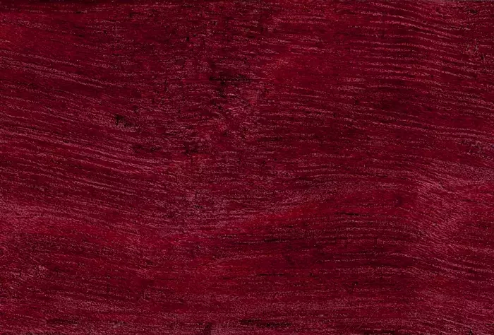 Descubriendo la Madera de Nazareno: Un Tesoro Púrpura de la Naturaleza