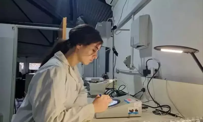 Bacteria Argentina Ofrece Solución Prometedora Contra Toxinade Fusarium