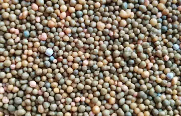 Optimizaci￳n de la Fertilización Foliar: Claves para una Aplicación Segura y Efectiva