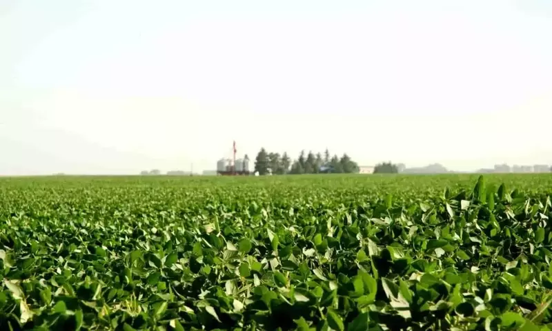 Córdoba Extiende Restricción a Herbicida 2,4-D: Protección Agrícola Prioritaria