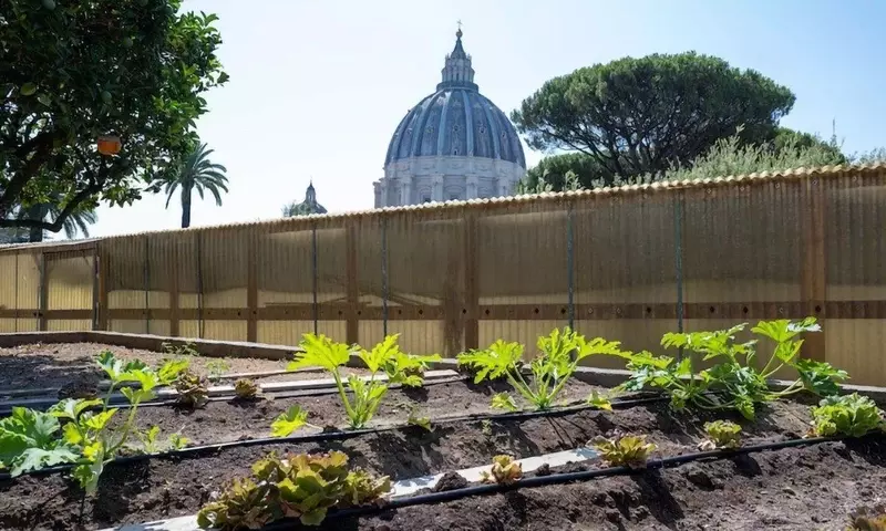 El jardín orgánico del Vaticano: un oasis de tradición y conciencia ambiental