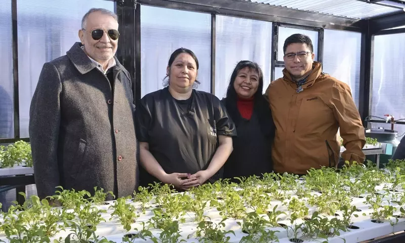 La Hidroponía: Un Avance Sostenible en la Producción Agrícola Global