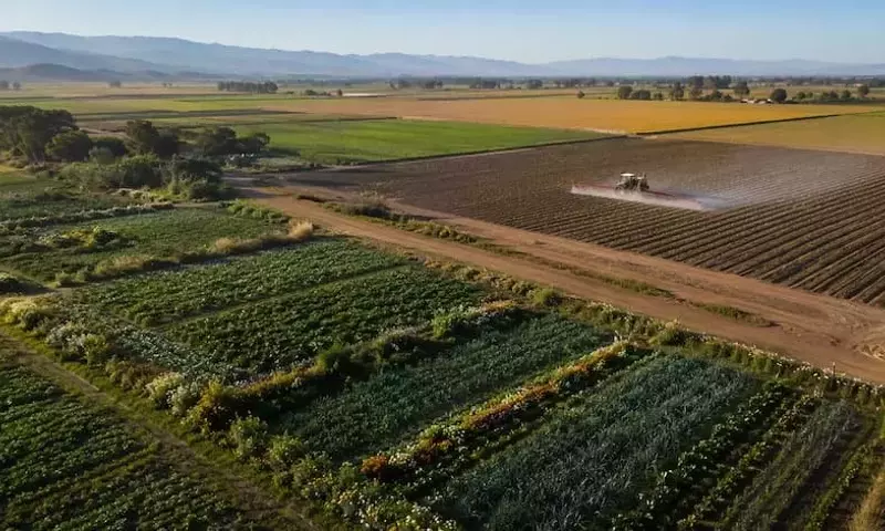 Influencia de la agricultura orgánica en el uso de pesticidas en California