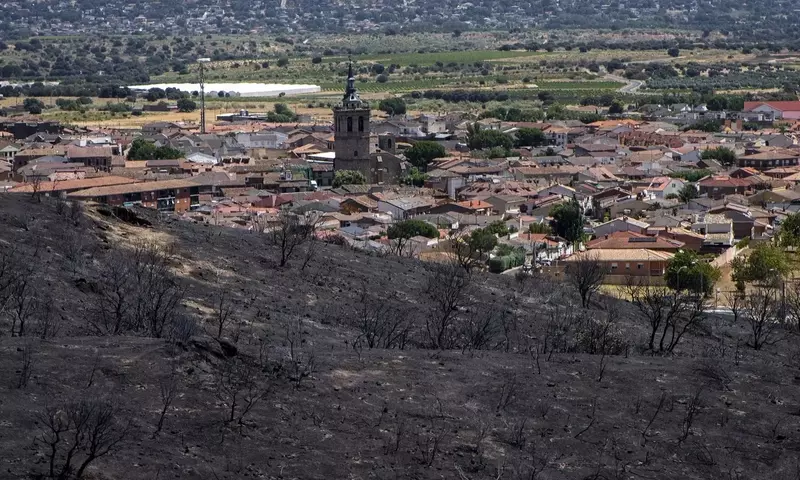 La Resurrección Verde de la Sierra Oeste: Un Plan Integral Post-Incendio