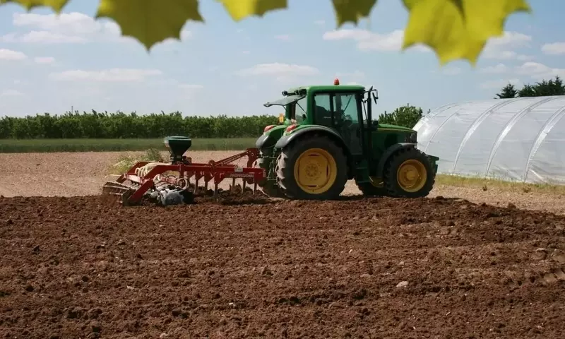 Reestructuración y Desafíos en la Industria de Fertilizantes: Innovación, Sostenibilidad y Costos