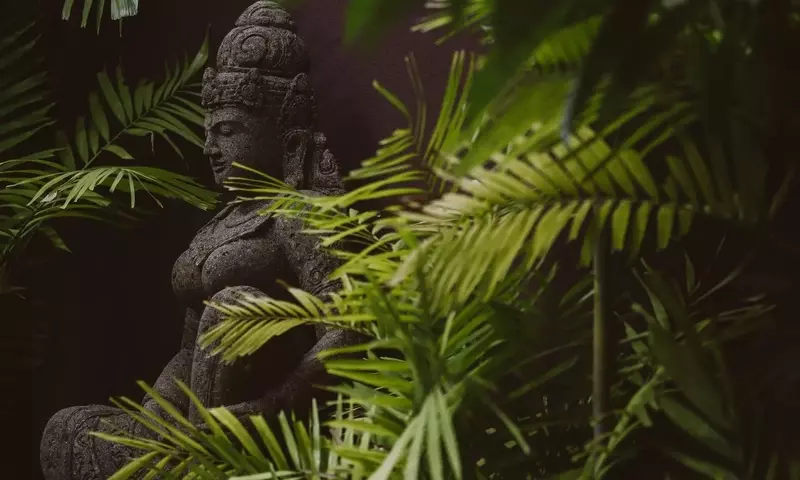 Transforma Tu Espacio Exterior: Una Guía Completa para un Jardín de Estilo Balinés